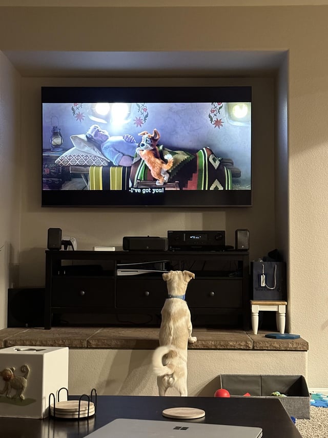 Affordable 4K Tvs for Small Rooms