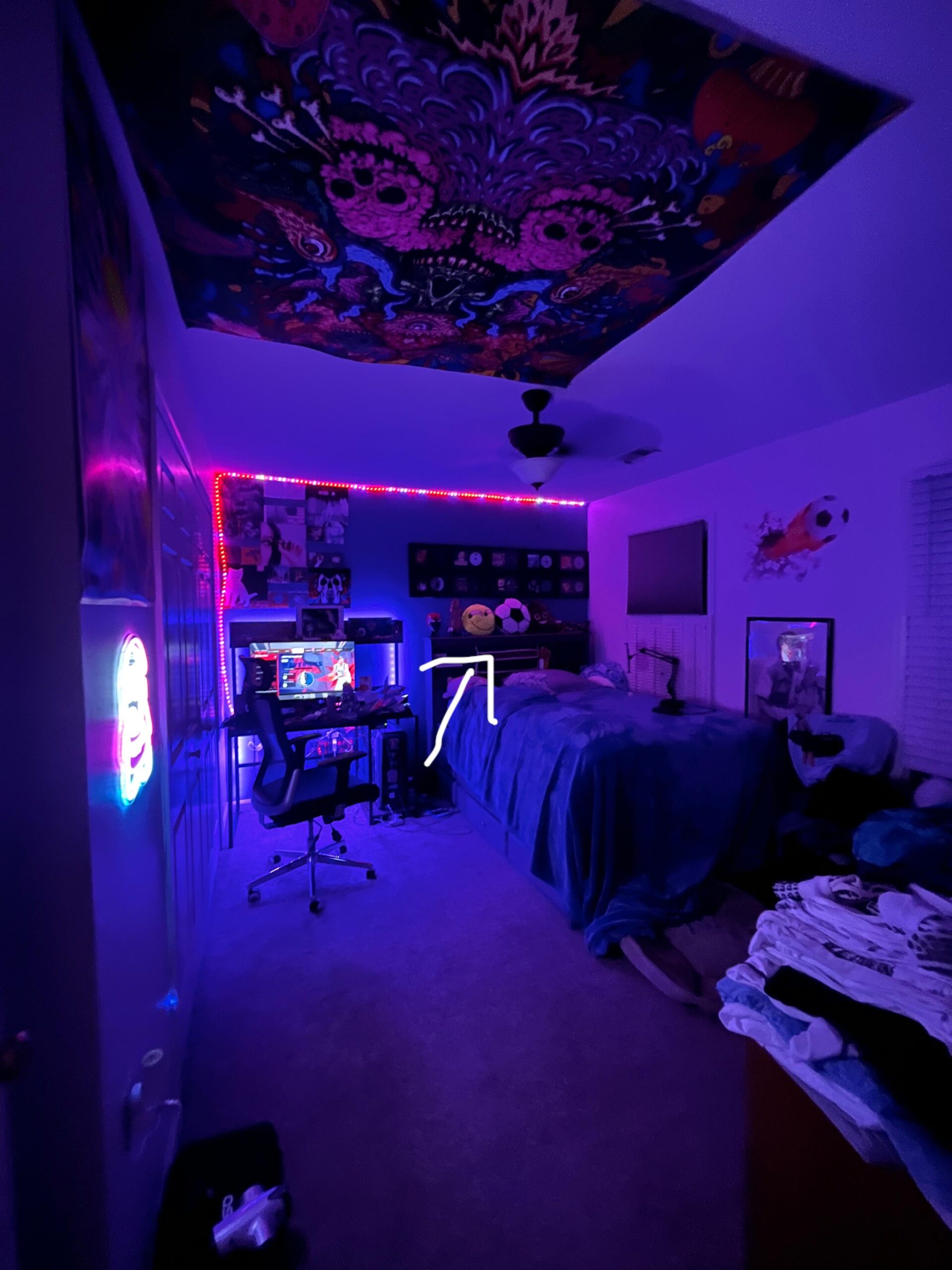 Best Projectors for Small Spaces